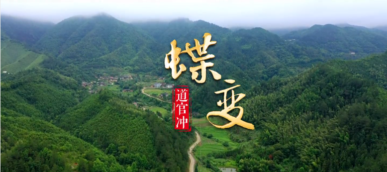 蝶變——道官沖